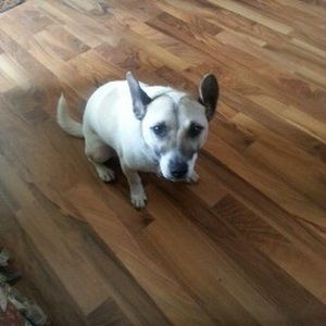 Meet your Posher, Ellen